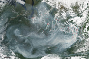 Fires in Northwestern Siberia