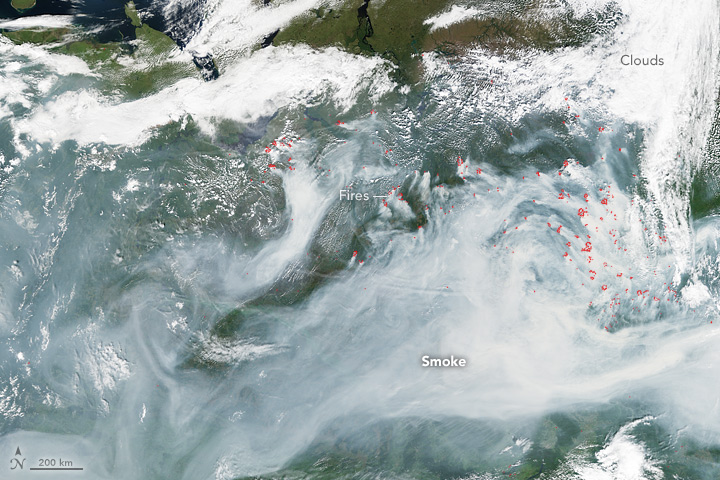 Fires in Northwestern Siberia