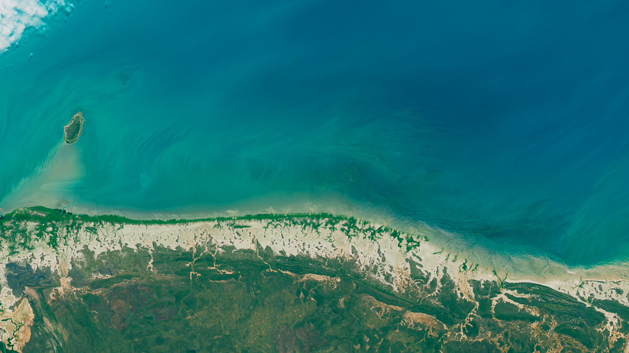 Dying Mangroves on the Australian Coast - related image preview