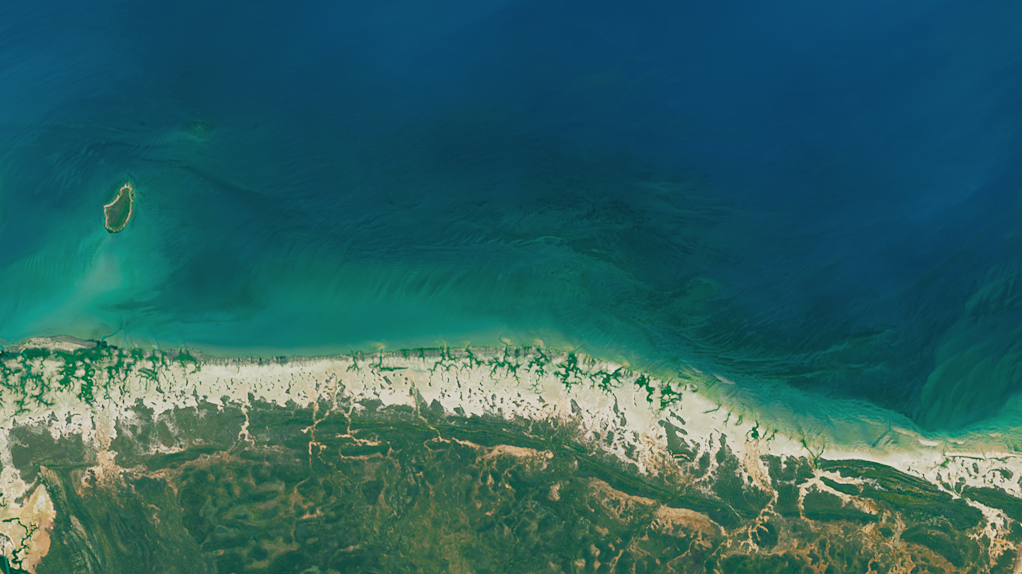 Dying Mangroves on the Australian Coast - related image preview