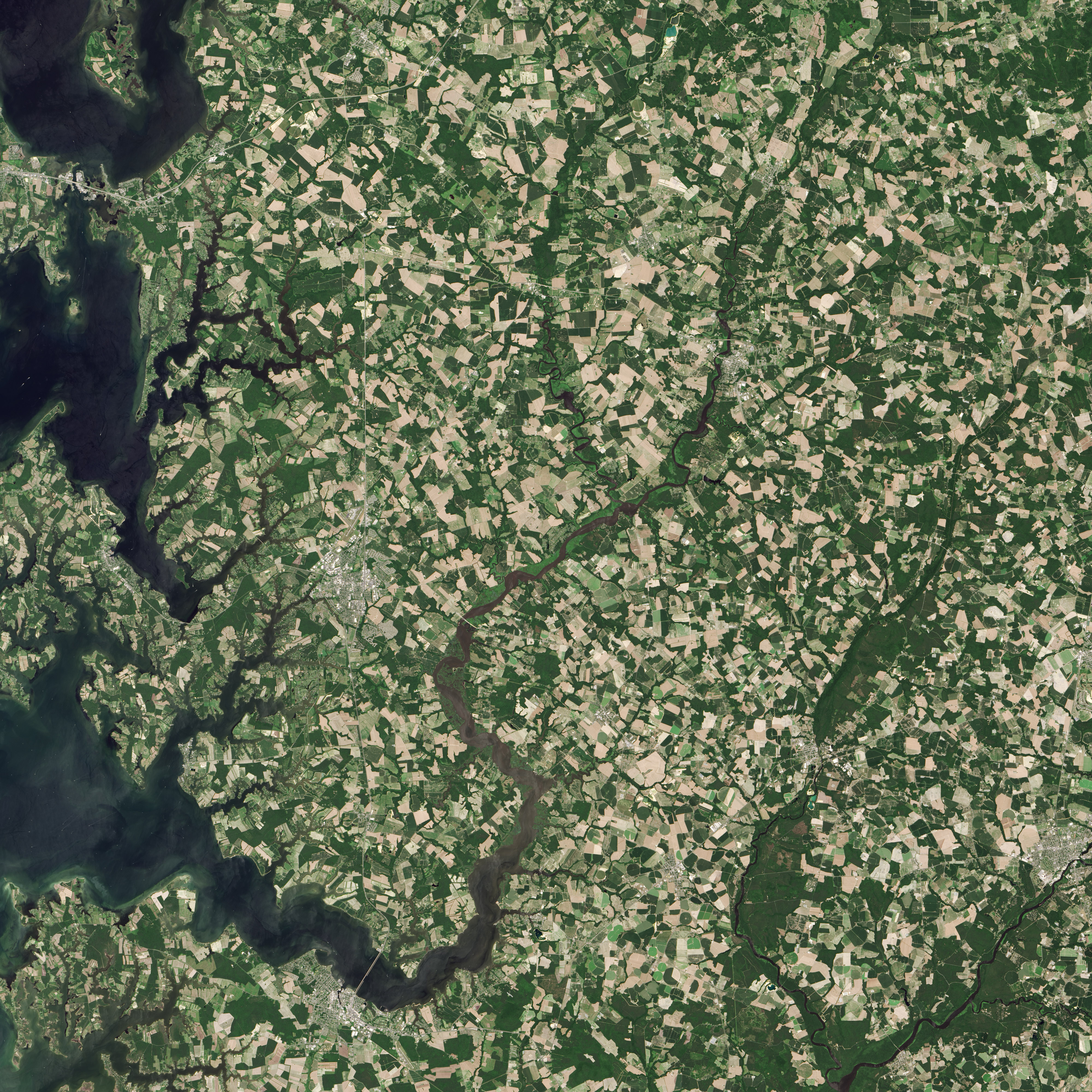 How Farms Affect the Chesapeake Bay’s Water - related image preview