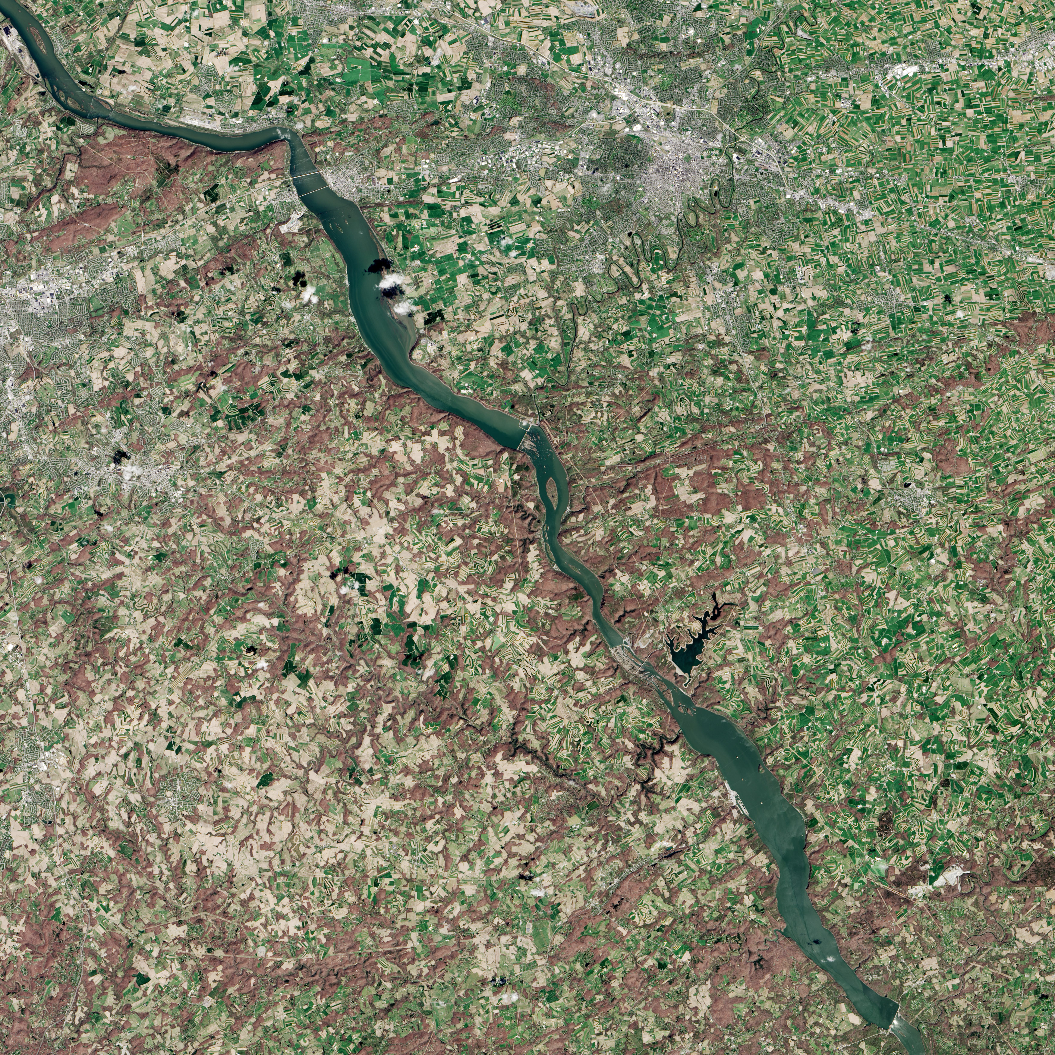 How Farms Affect the Chesapeake Bay’s Water - related image preview