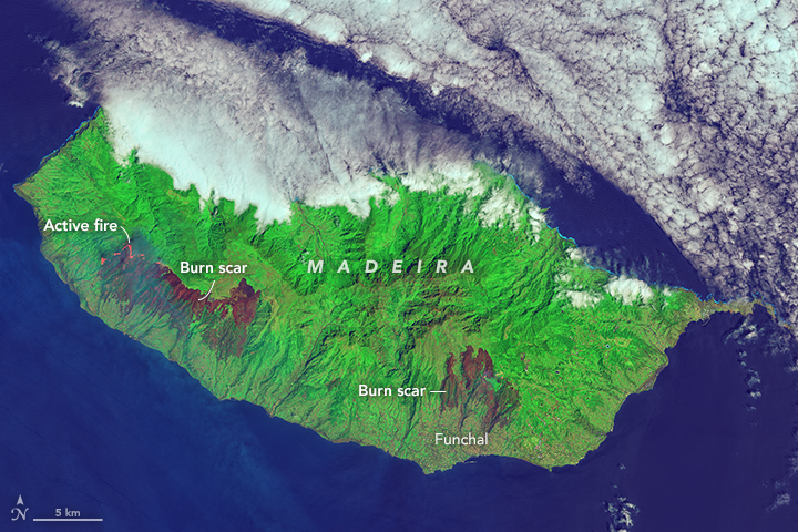 Fires Char Madeira