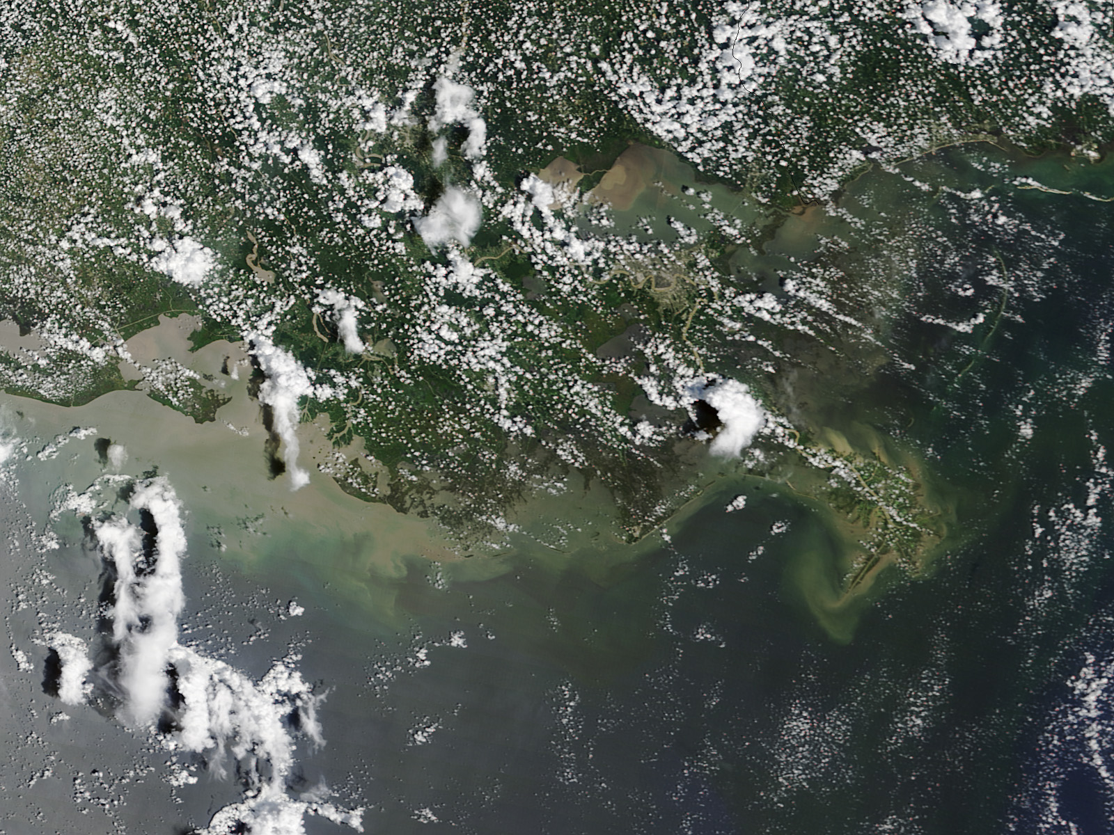 Sediment Pours into Lake Pontchartrain - related image preview