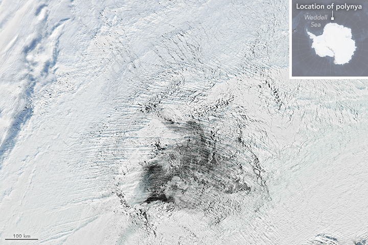 A Polynya Seldom Seen