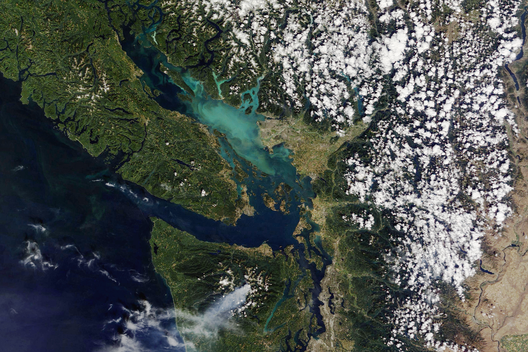 Canadian Waters Teem with Phytoplankton - related image preview