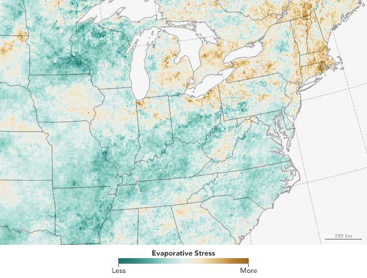 Parched New England