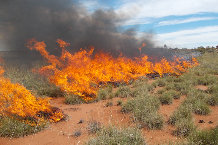 A Desert Landscape Scarred by Fire - related image preview