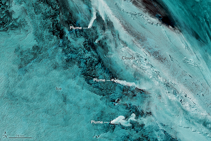 A Trio of Plumes in the South Sandwich Islands