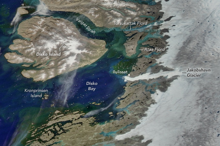 Phytoplankton Diversity in Disko Bay - related image preview