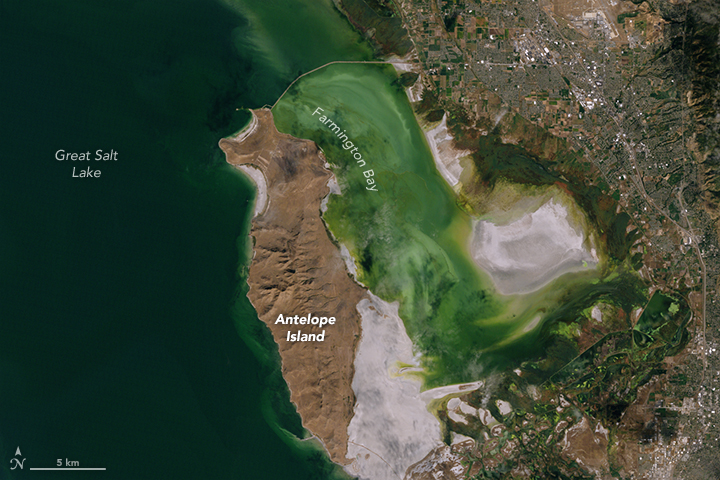 Salt Lake Water Woes - related image preview