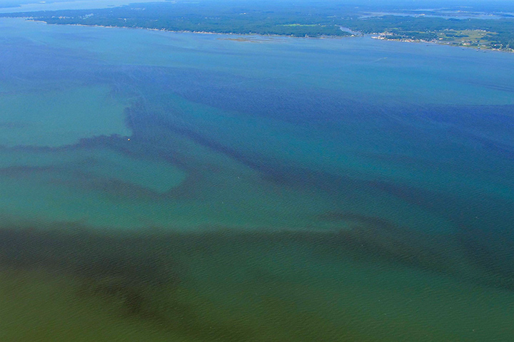 Studying Chesapeake Bay from Above - related image preview