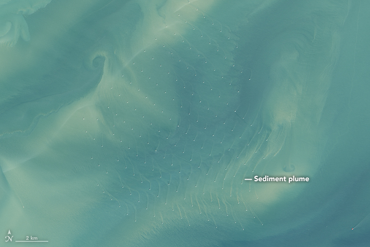 Offshore Wind Farms Make Wakes - related image preview