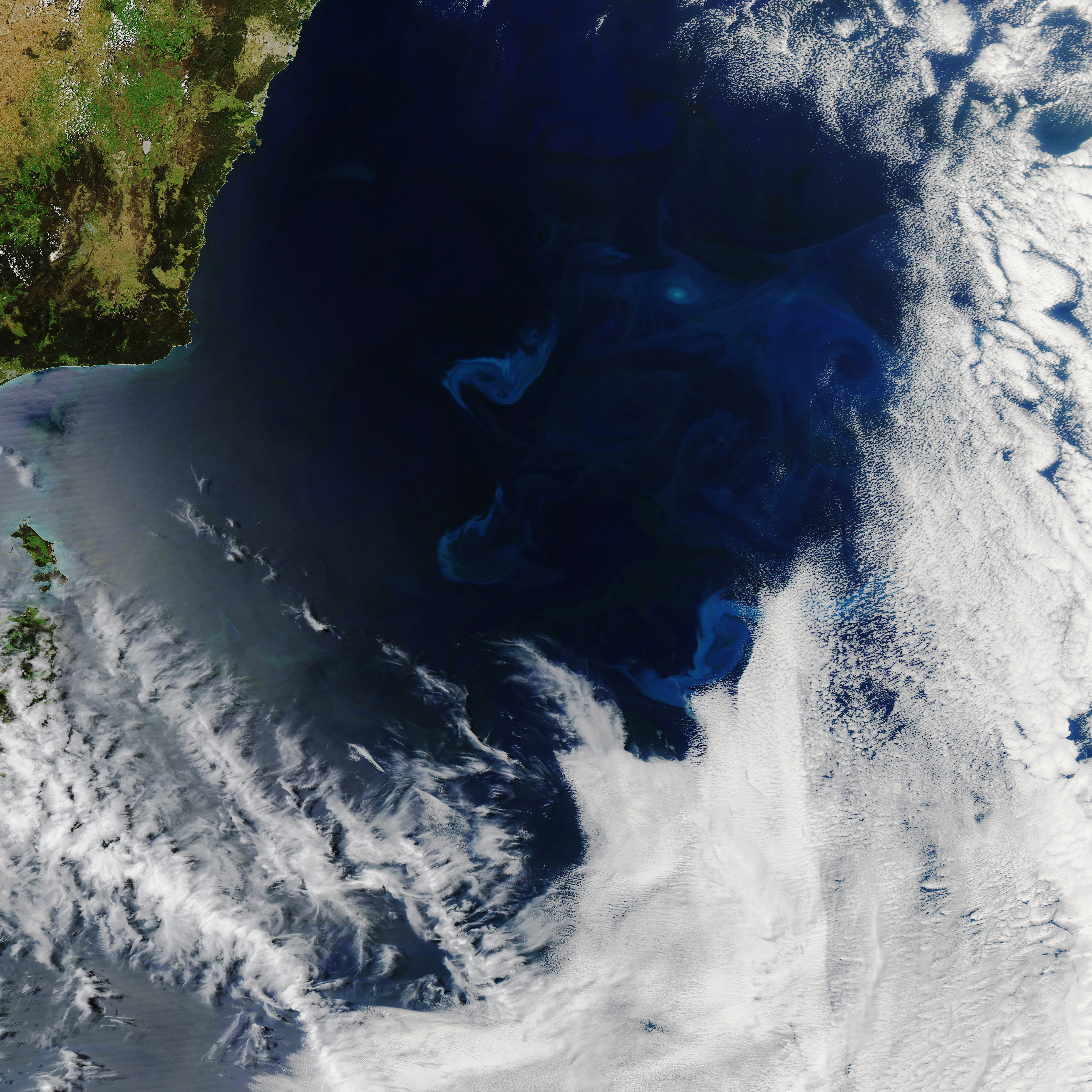 Phytoplankton in the Tasman Sea - related image preview