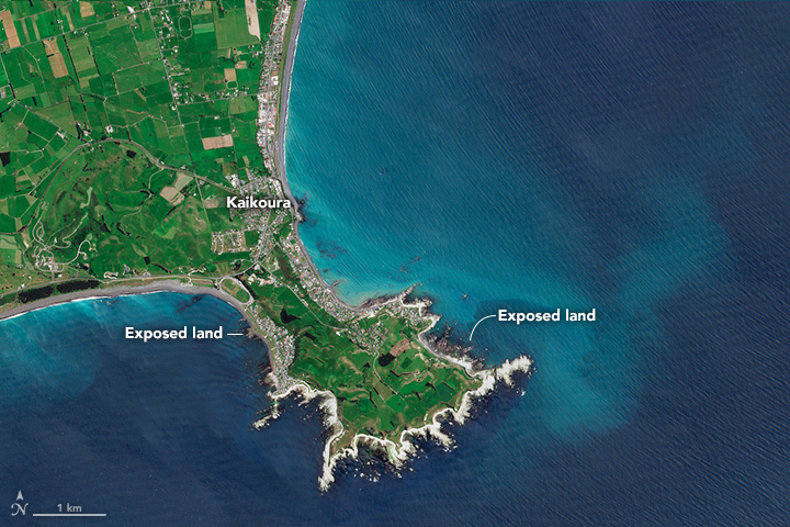 Powerful Earthquake Exposes New Land Near Kaikoura - related image preview