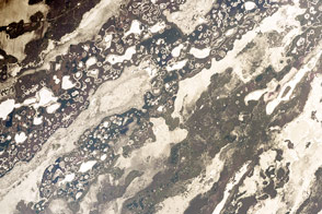 Iberá Wetlands in Sunglint