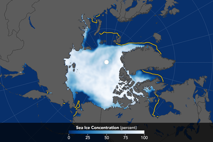 Growing Pains: Arctic Sea Ice at Record Lows - related image preview