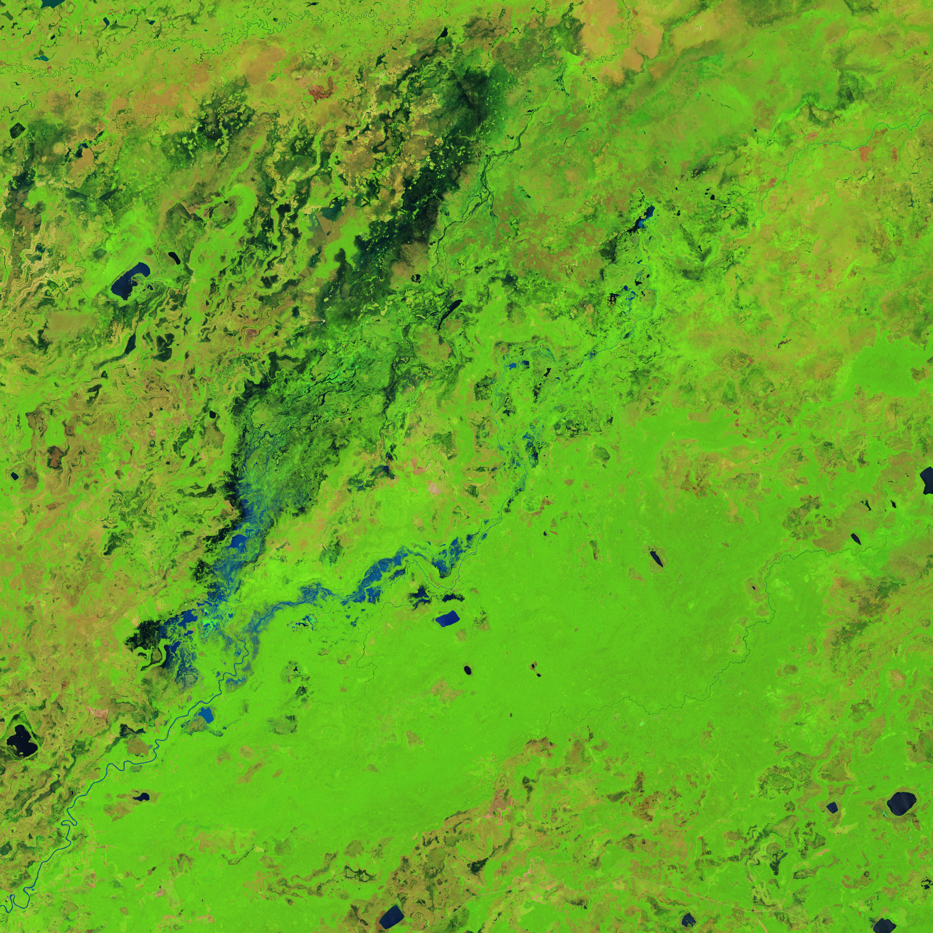 A Shape-Shifting River in Bolivia  - related image preview