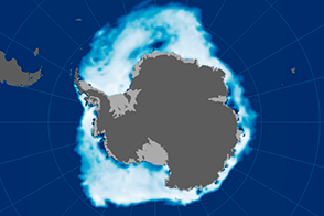 Melting Woes: Antarctic Sea Ice at Record Lows - selected child image
