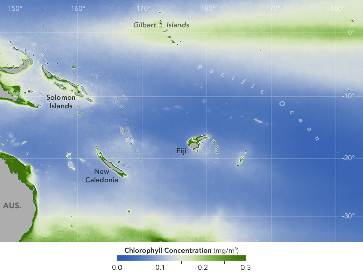 Phytoplankton Enlivens Swaths of Barren Ocean - related image preview