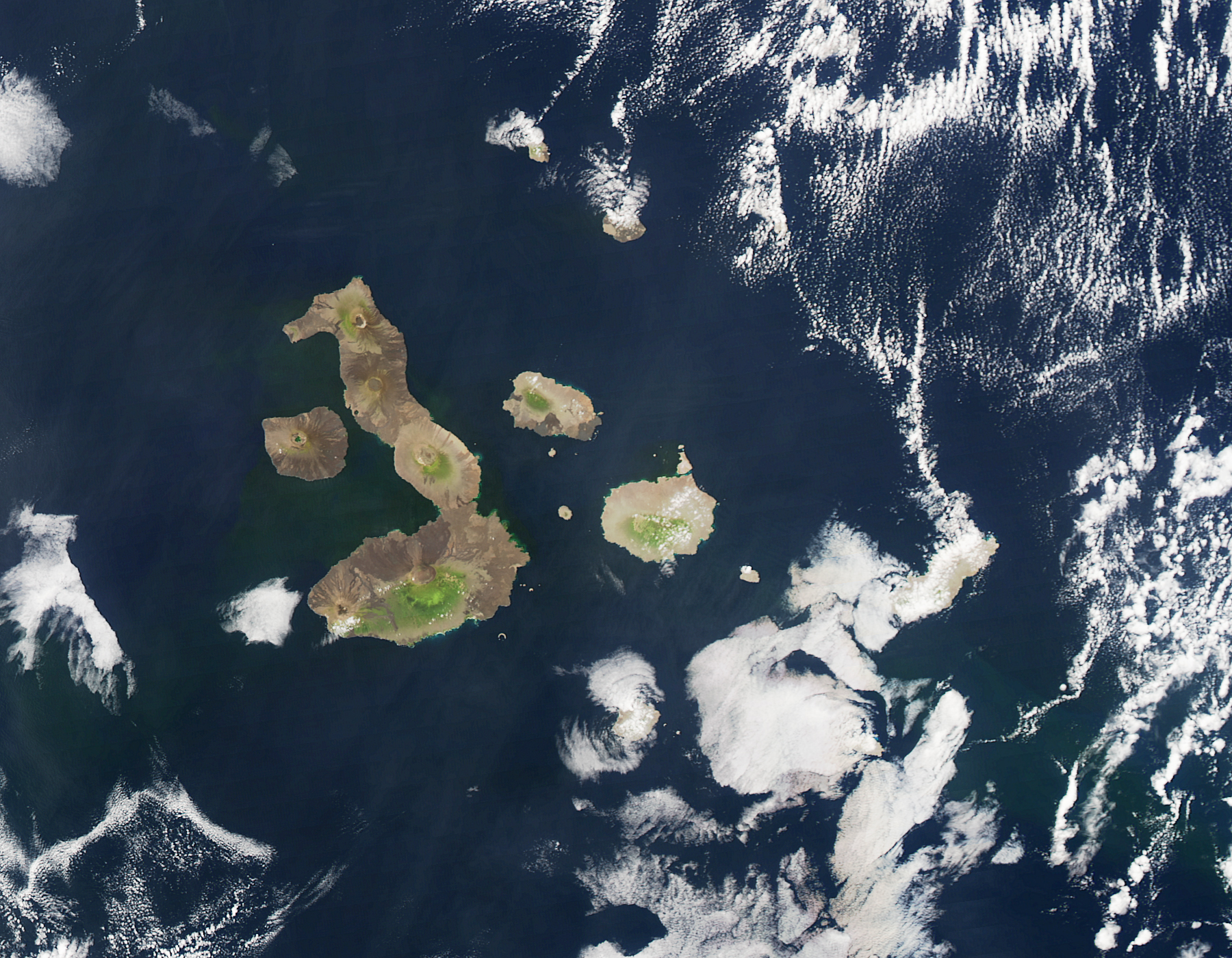 The Galapagos Archipelago - related image preview