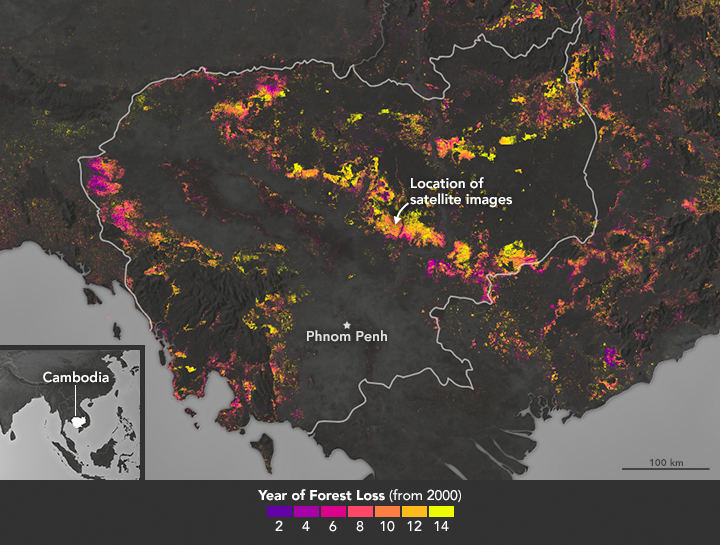 Cambodia’s Forests Are Disappearing - related image preview