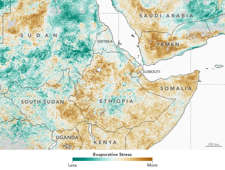 Food Shortages in the Greater Horn of Africa