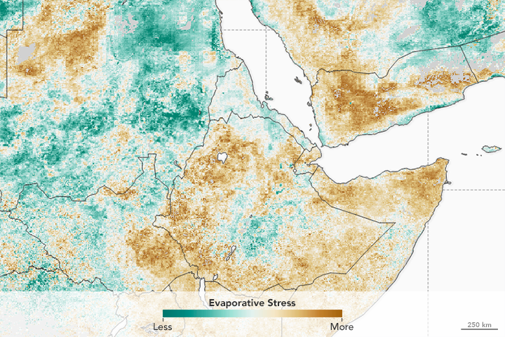 Food Shortages in the Greater Horn of Africa - related image preview