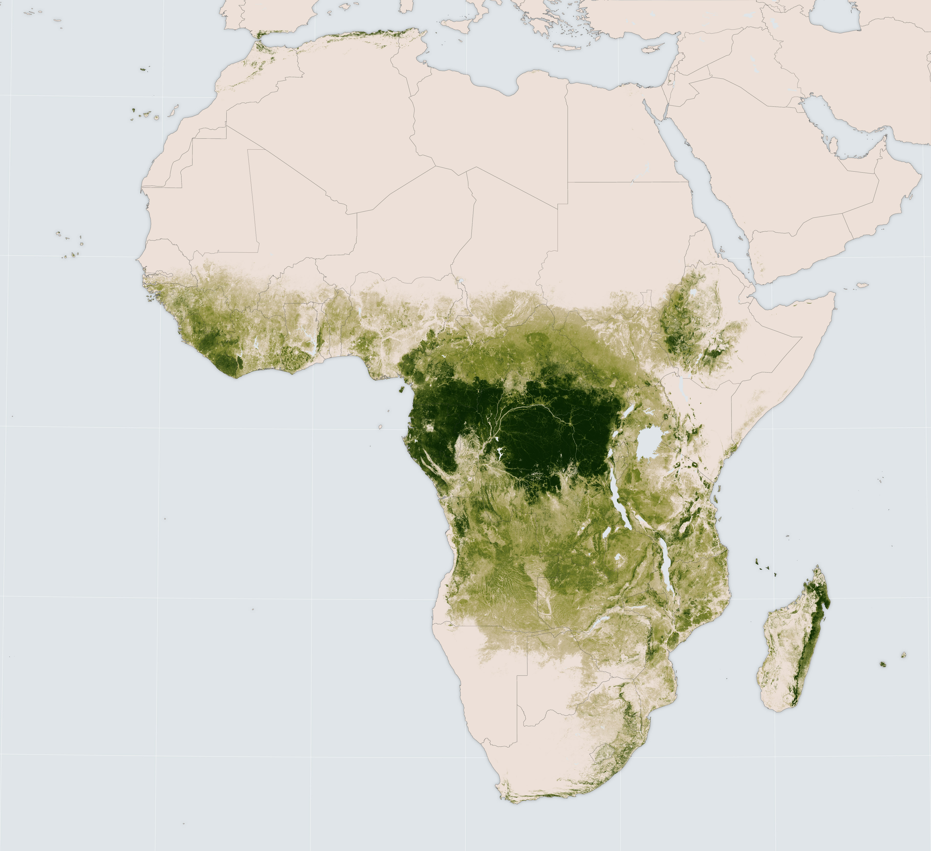 Cutting into Africa’s Green Heart - related image preview