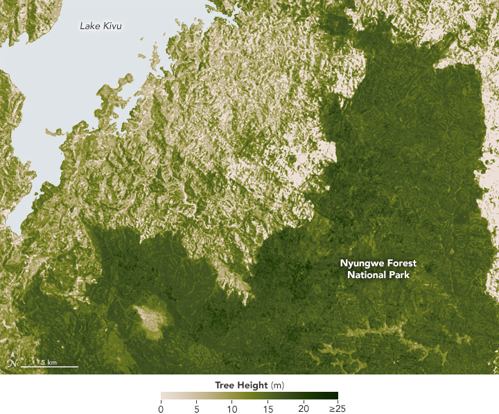 Cutting into Africa’s Green Heart - related image preview