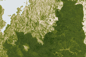 Cutting into Africa’s Green Heart - selected image