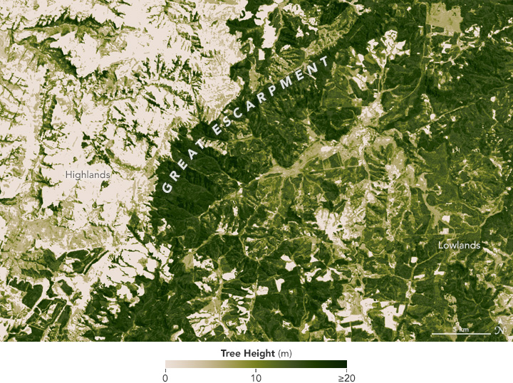 South Africa’s ‘Brown Gold’ - related image preview