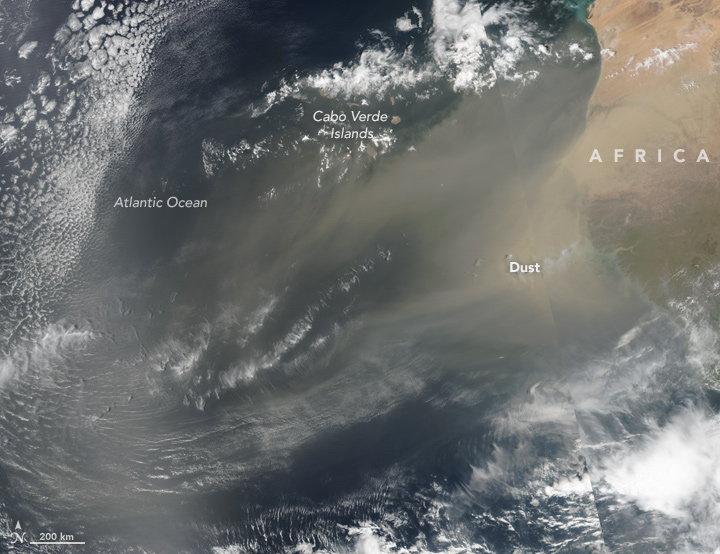 African Dust Aloft - related image preview