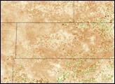 Drought Devastates Vegetation in Oklahoma Panhandle