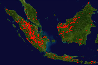 Fires in Indonesia - related image preview