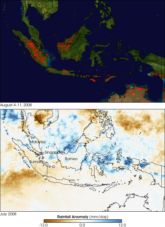 Fires in Indonesia