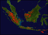 Fires in Indonesia - selected child image