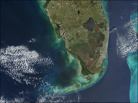 Red Tide Along Florida's West Coast