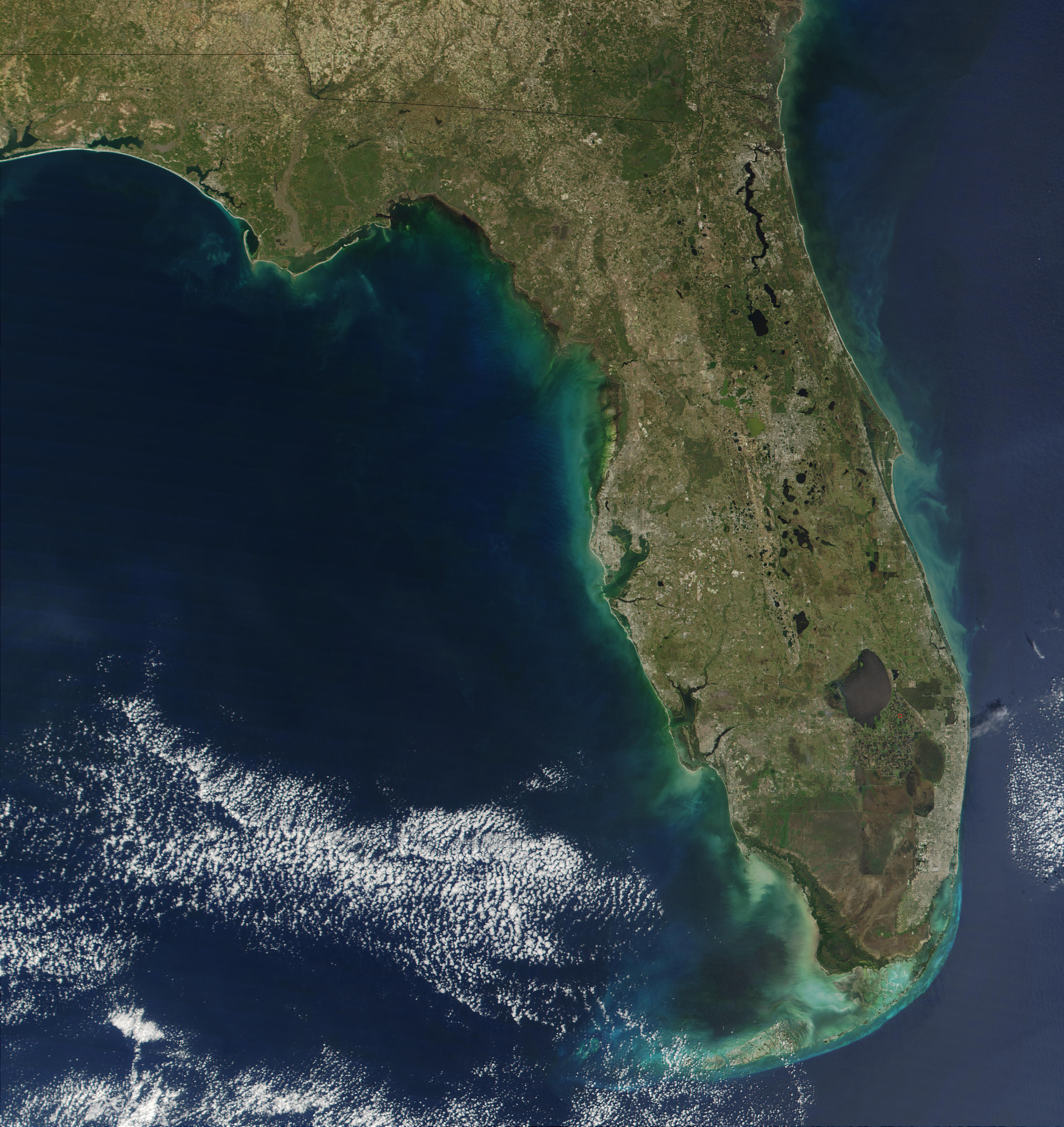 Red Tide Along Florida's West Coast - related image preview