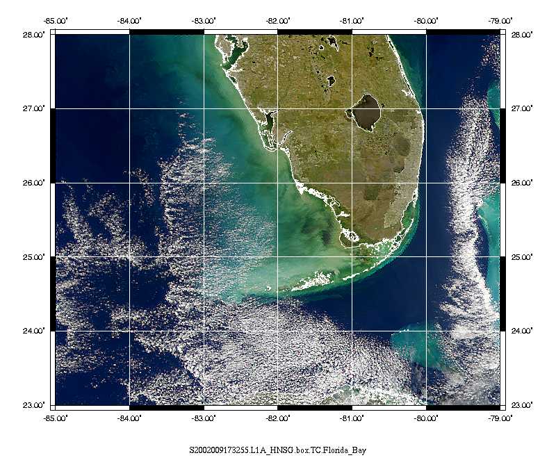 Black Water off the Gulf Coast of Florida - related image preview
