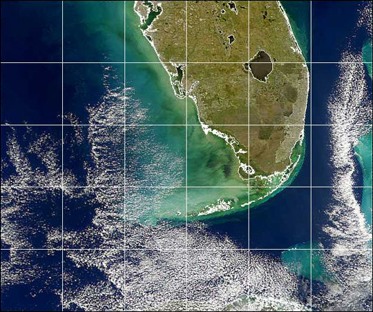 Black Water off the Gulf Coast of Florida - related image preview