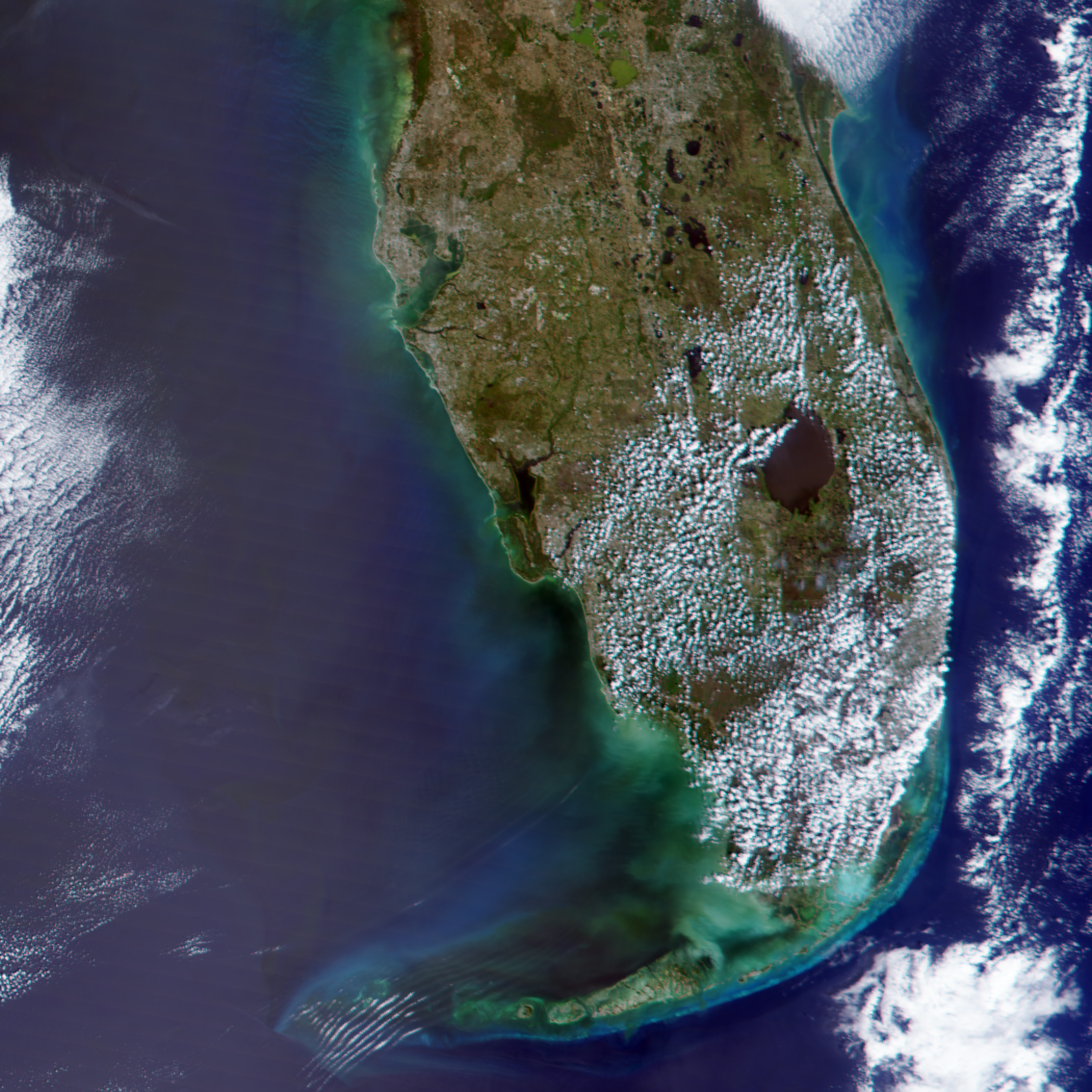 Black Water off the Gulf Coast of Florida - related image preview
