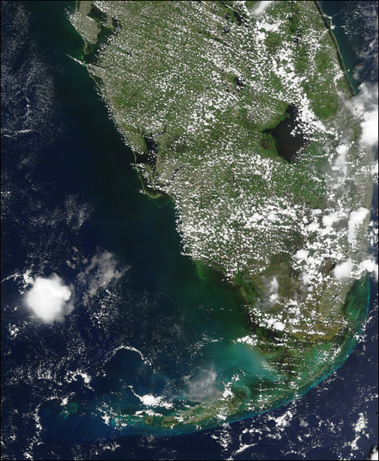 Black Water off the Gulf Coast of Florida