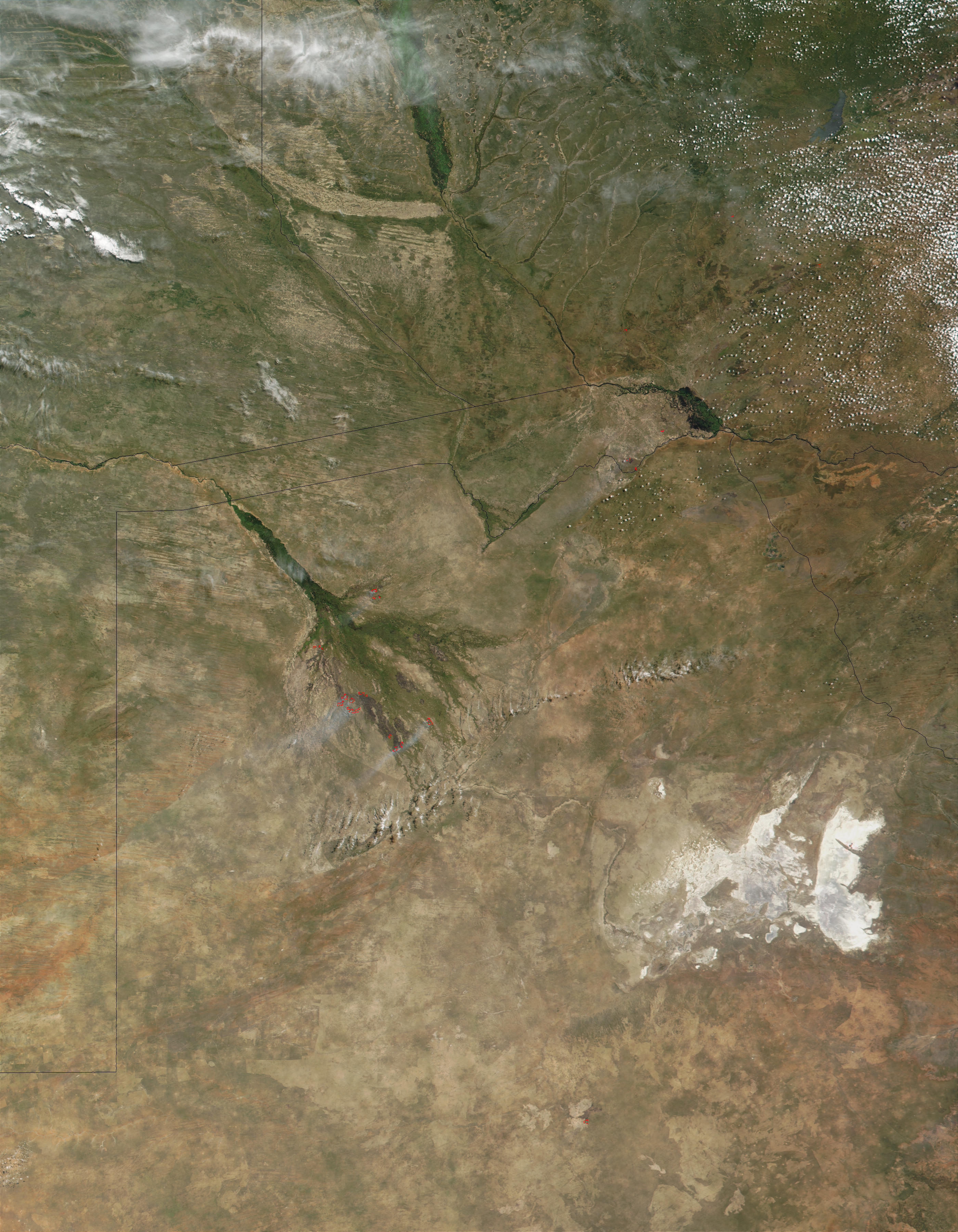 Wildfires in Okavango Delta - related image preview