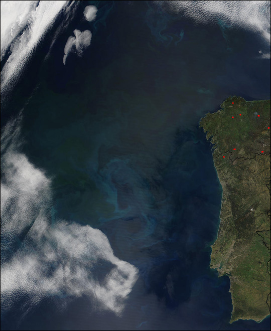 Phytoplankton Bloom Off Portugal