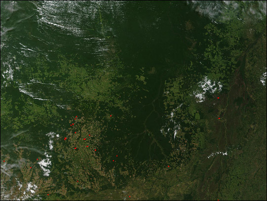 Deforestation in Brazil