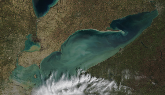 Whiting of Lake Erie - related image preview