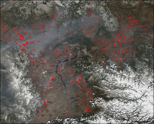 Scores of Wildfires in Russia's Krasnoyarsk Region