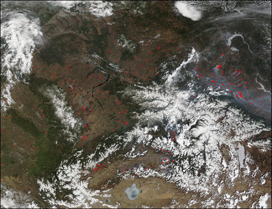 Scores of Wildfires in Russia's Krasnoyarsk Region