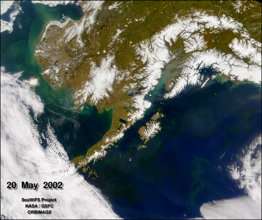 Phytoplankton in the Gulf of Alaska